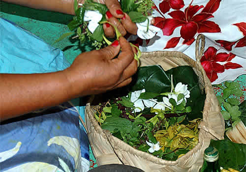 Huna - hawaiiano intreccia collana di fiori. Reiki vicino Padova, Bassano del Grappa, Vivenza, Verona, Venezia, Treviso, Rovigo, Ferrara, Bologna, Montebelluna. Seminari e corsi di Reiki e di Sciamanismo