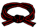 Cintura Nera bordata di Rosso a partire dal Primo Dang
