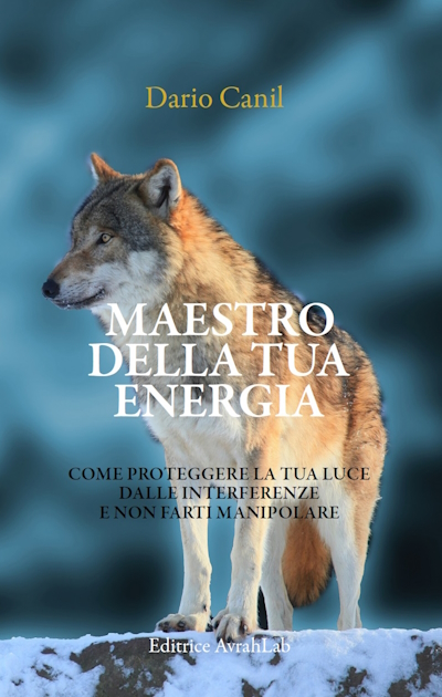 Dario Canil, Manuale di sopravvivenza energetica. In Veneto, seminari Reiki tra Padova, Vicenza, Treviso, Venezia, Verona, Bassano del Grappa, Rovigo e Belluno
