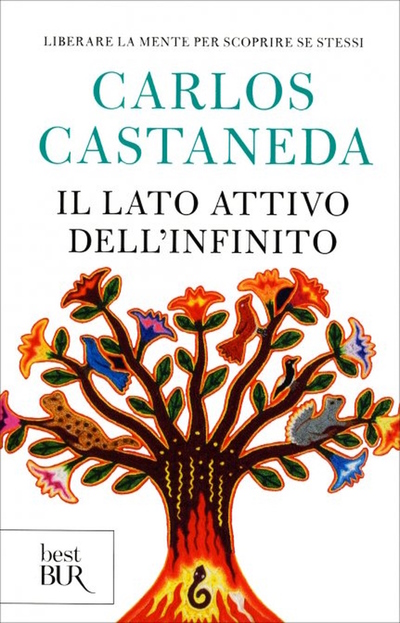 Carlos Castaneda, Il lato attivo dell'Infinito. In Veneto, seminari Reiki tra Padova, Vicenza, Treviso, Venezia, Verona, Bassano del Grappa, Rovigo e Belluno 