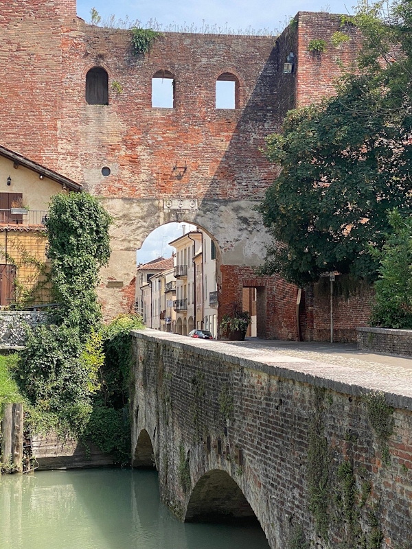 Dario Canil presenta corsi e seminari Reiki vicino a Castelfranco Veneto, in Veneto, a Dolo (Venezia).