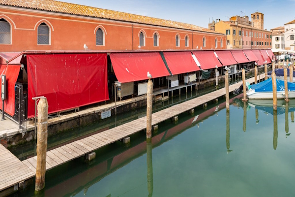 mercato del pesce di Chioggia. Dario Canil e il Centro Olistico Tolteca presentano corsi e seminari Reiki a Dolo (Venezia), vicino a Chioggia, in Veneto.