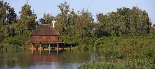 Area Naturalistica di Musile. Dario Canil presenta i corsi e i seminari Reiki vicino a San Donà di Piave, in Veneto.