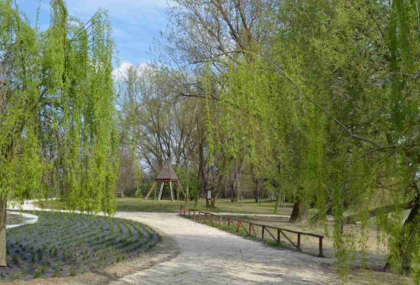 il Parco fluviale di San Donà di Piave. Dario Canil e il Centro Olistico Tolteca presentano corsi e seminari Reiki a Dolo (Venezia), vicino a San Donà di Piave, in Veneto.