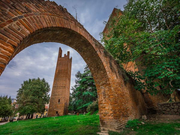 La Torre Donà. Dario Canil presenta corsi e seminari Reiki vicino a Rovigo, in Veneto, a Dolo (Venezia).