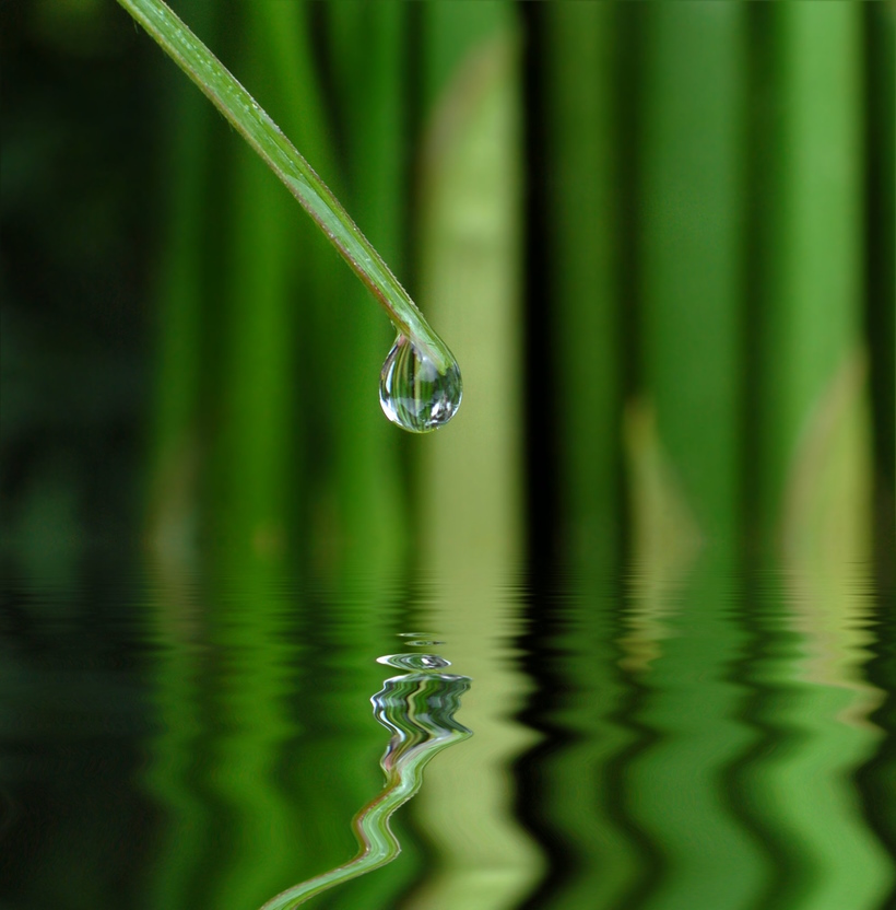 In Veneto, seminari Reiki tra Padova, Vicenza, Treviso, Venezia, Verona, Bassano del Grappa, Rovigo e Belluno