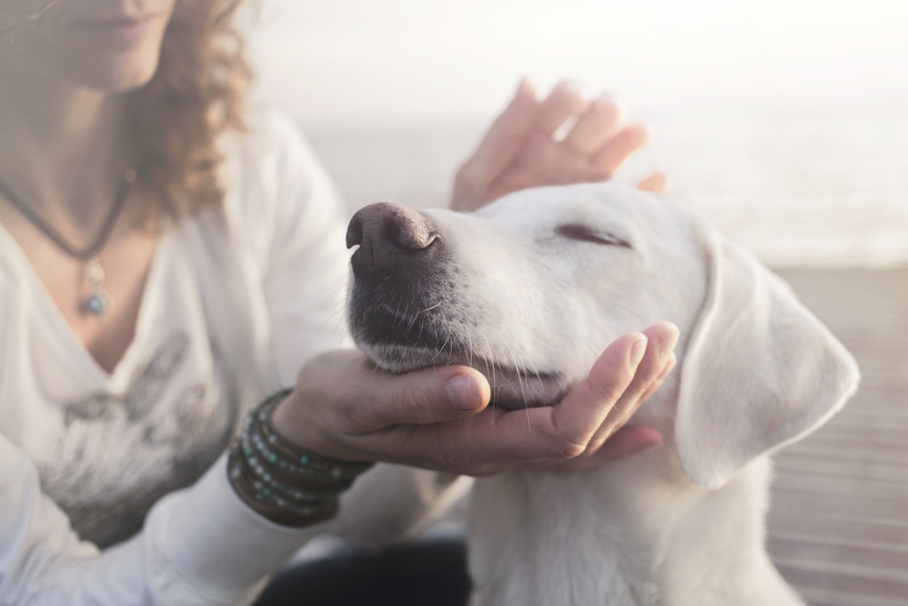 In Veneto, seminari Reiki tra Padova, Vicenza, Treviso, Venezia, Verona, Bassano del Grappa, Rovigo e Belluno