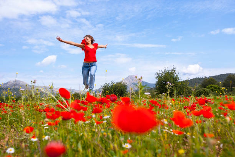 In Veneto, seminari Reiki tra Padova, Vicenza, Treviso, Venezia, Verona, Bassano del Grappa, Rovigo e Belluno