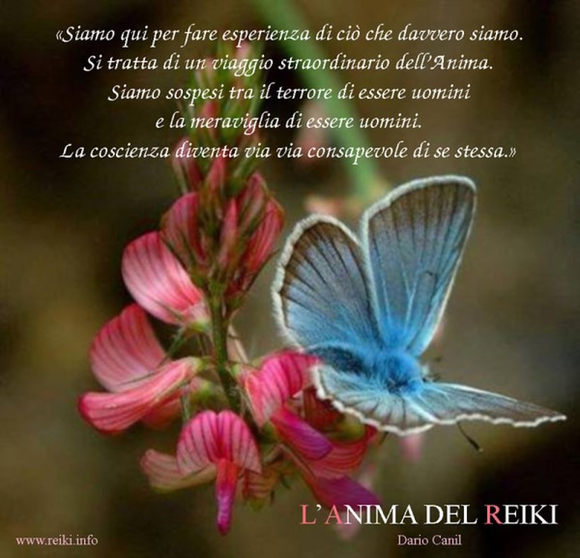 Reiki e la Vibrazione di Trasformazione - Reiki Info