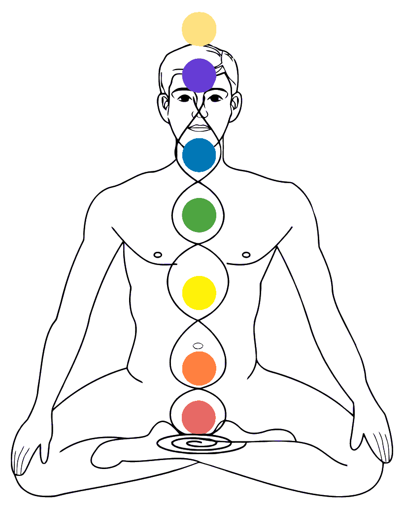 Reiki Info: dislocazione dei Chakra nel corpo umano. In Veneto, seminari Reiki tra Padova, Vicenza, Treviso, Venezia, Verona, Bassano del Grappa, Rovigo e Belluno