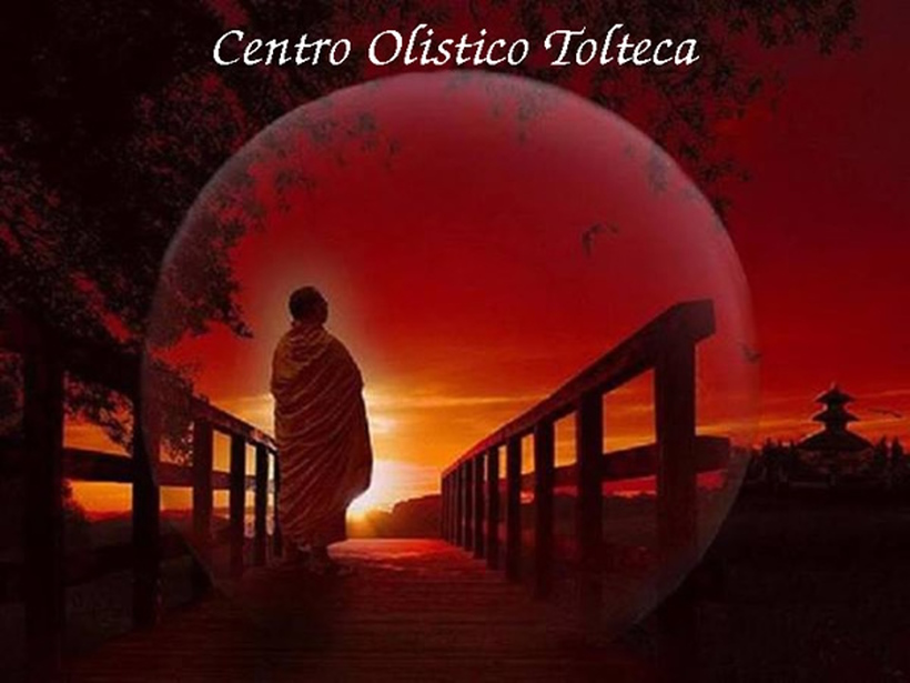 Come cominciare nel modo più opportuno e corretto con il Metodo Reiki di Mikao Usui. Suggerimenti per iniziare correttamente il percorso Reiki